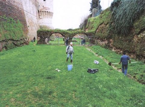 903655_10200898614657454_1952378396_o - Copia