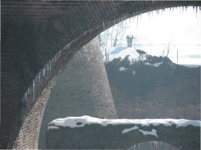 12068861_905512362874966_8613568921994509724_o